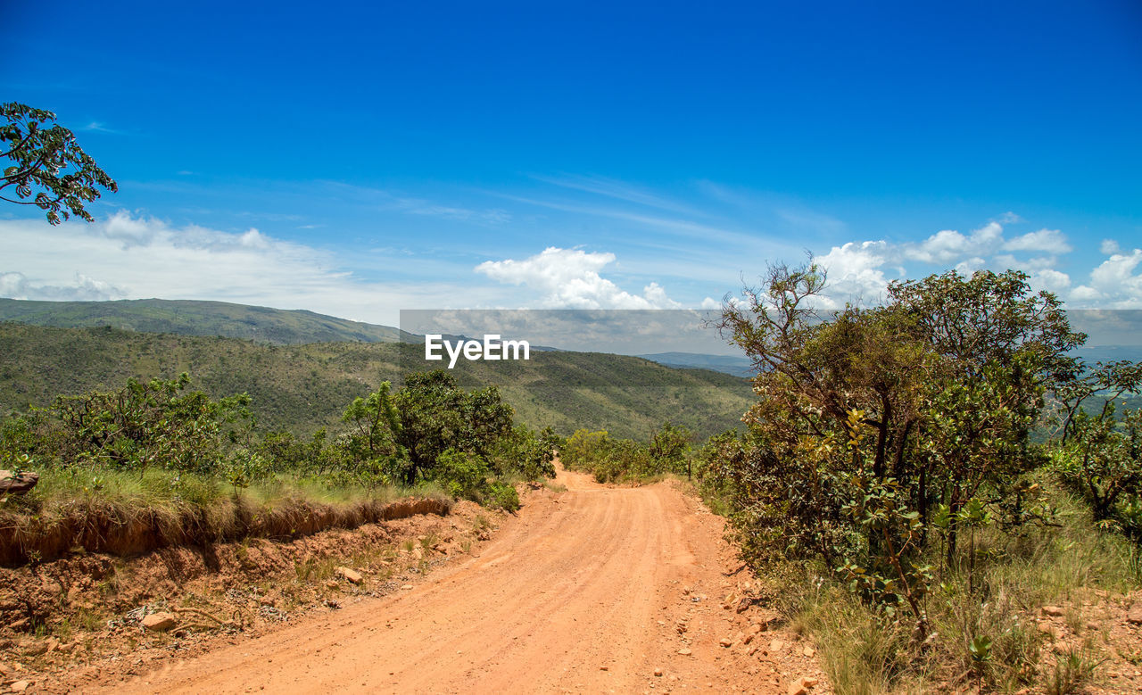 Dirt road amidst plants and trees against sky