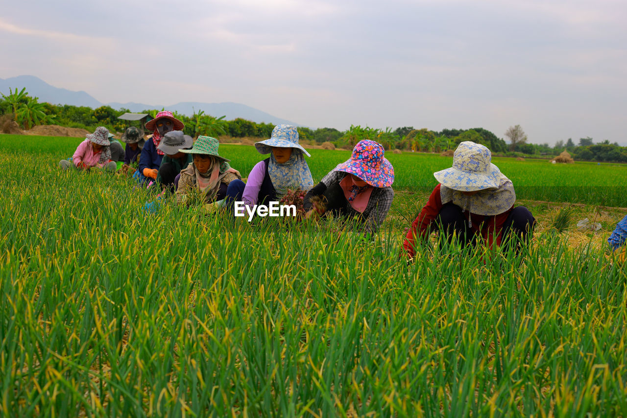 People working in farm against sky