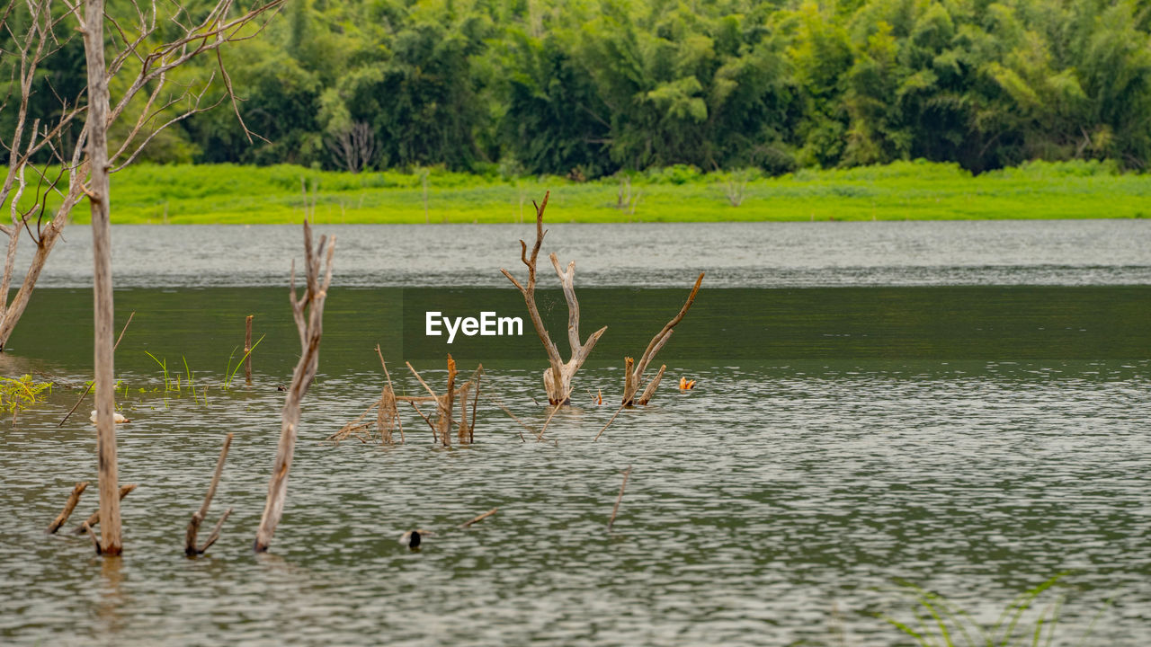 SCENIC VIEW OF WATER IN LAKE