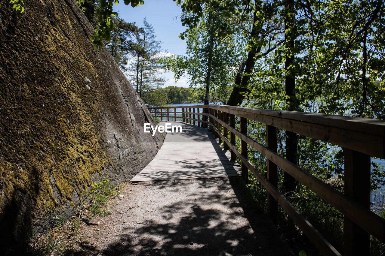 Walkway amidst trees against sky