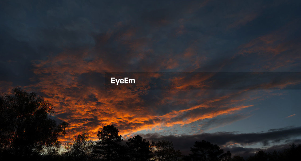 sky, tree, cloud, beauty in nature, sunset, evening, plant, dawn, nature, scenics - nature, no people, tranquility, silhouette, orange color, tranquil scene, red sky at morning, environment, afterglow, dramatic sky, land, non-urban scene, outdoors, darkness, night, forest, landscape, idyllic, low angle view, growth
