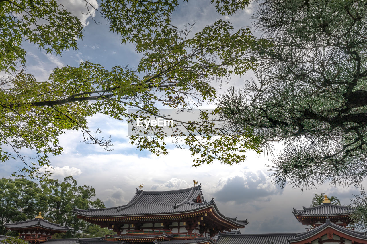 LOW ANGLE VIEW OF TREES AND ROOF AGAINST SKY