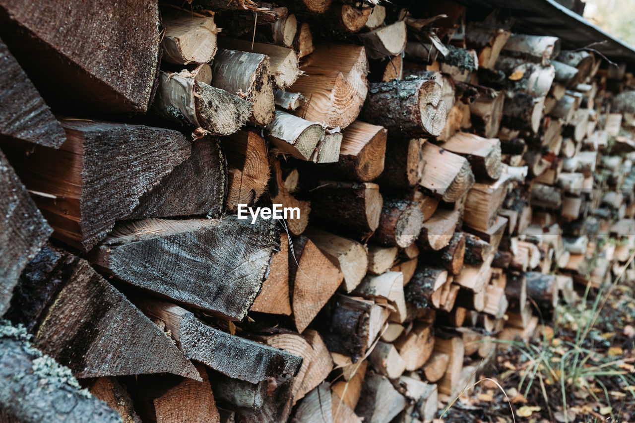 Full frame shot of logs in forest