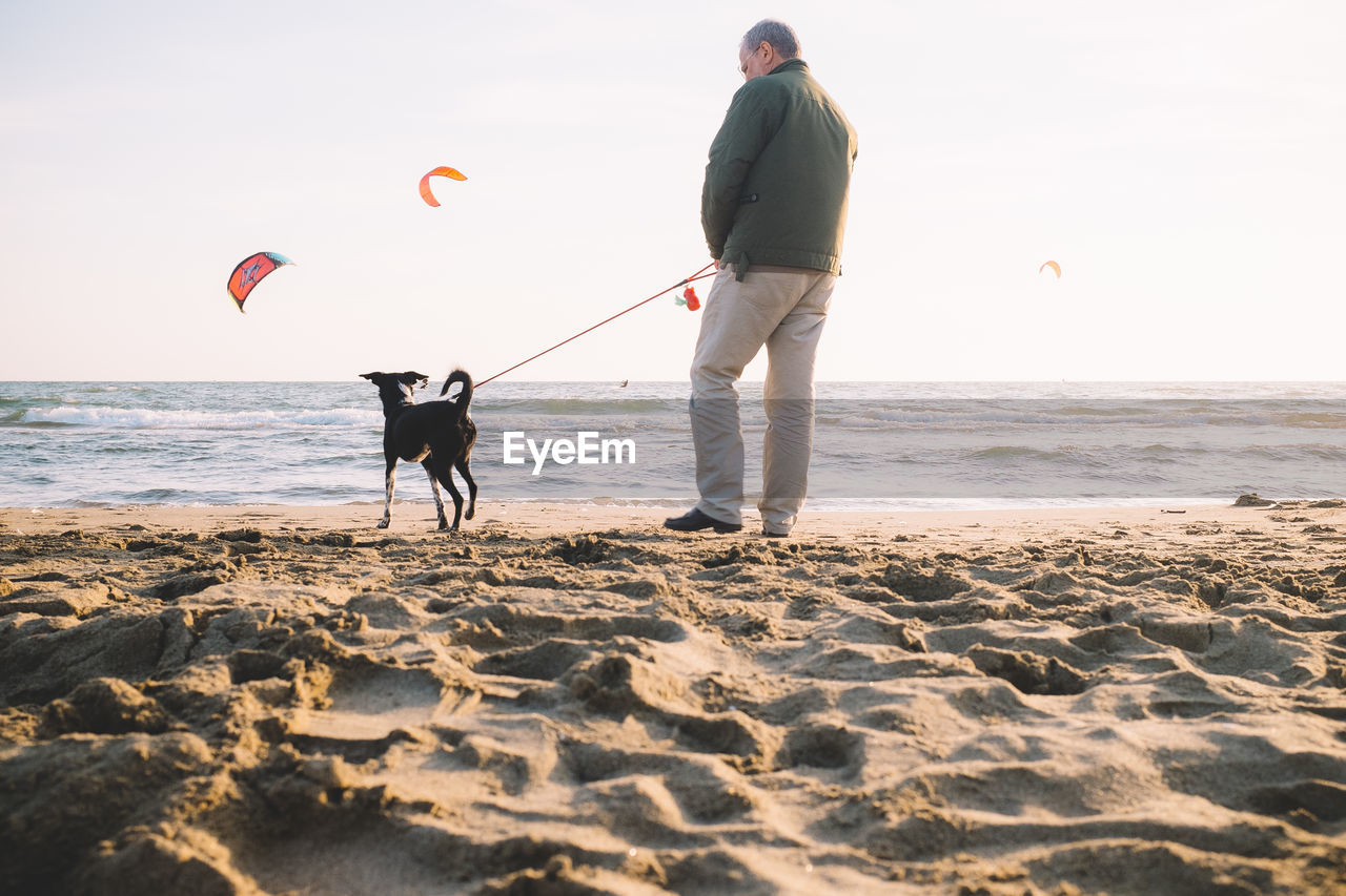 Man with dog at the beach