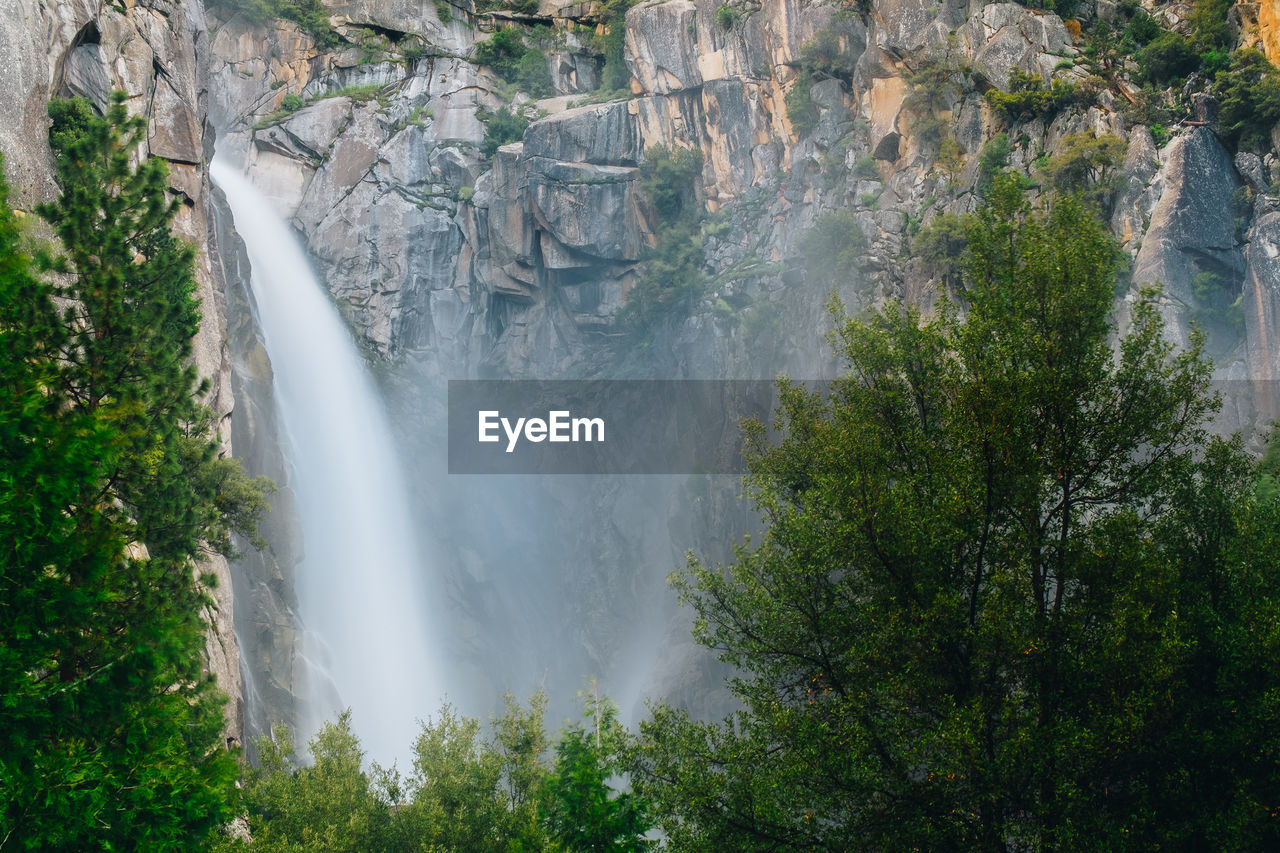 SCENIC VIEW OF WATERFALL AGAINST TREES