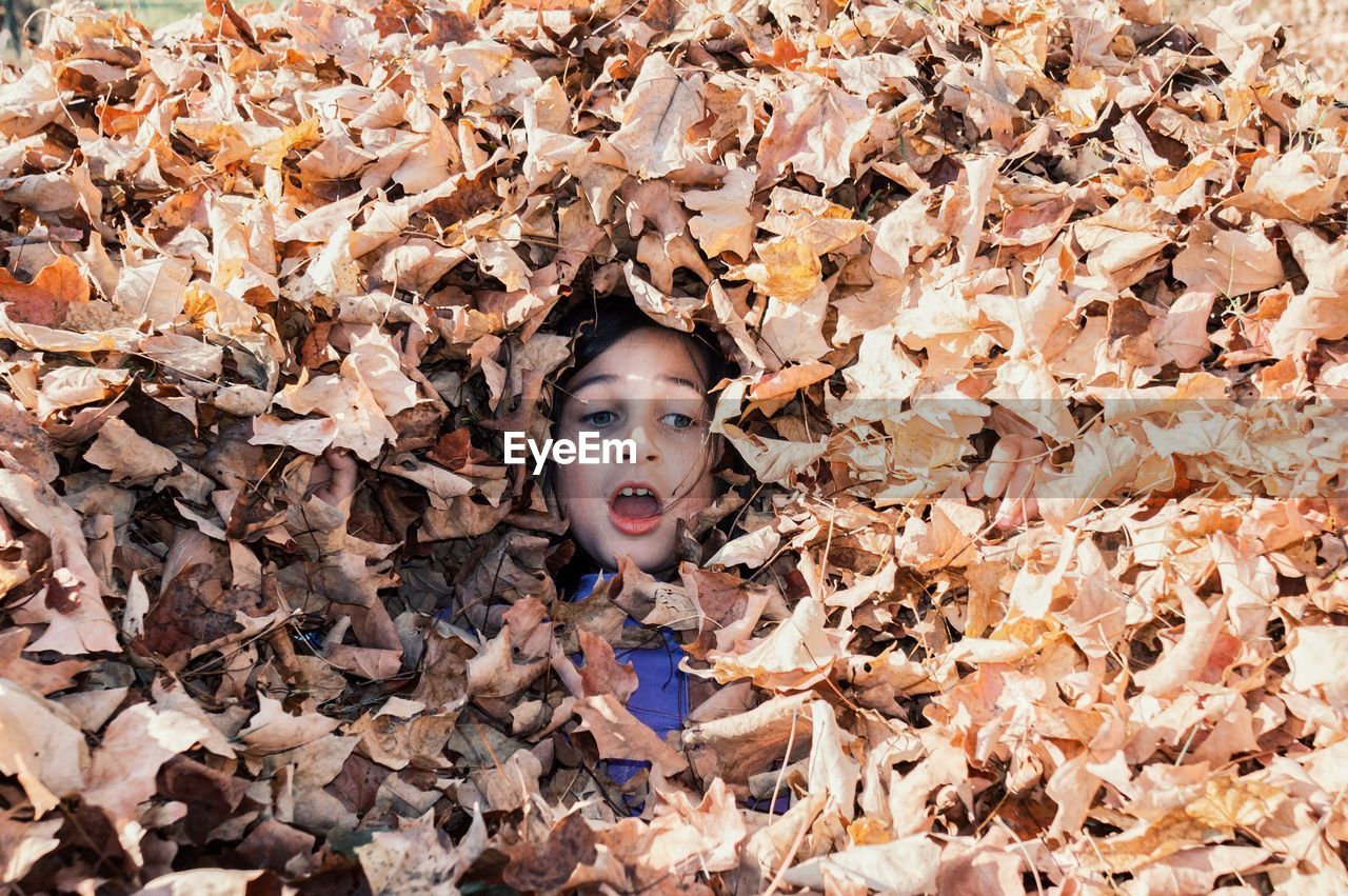 Cute girl amidst dry fallen leaves