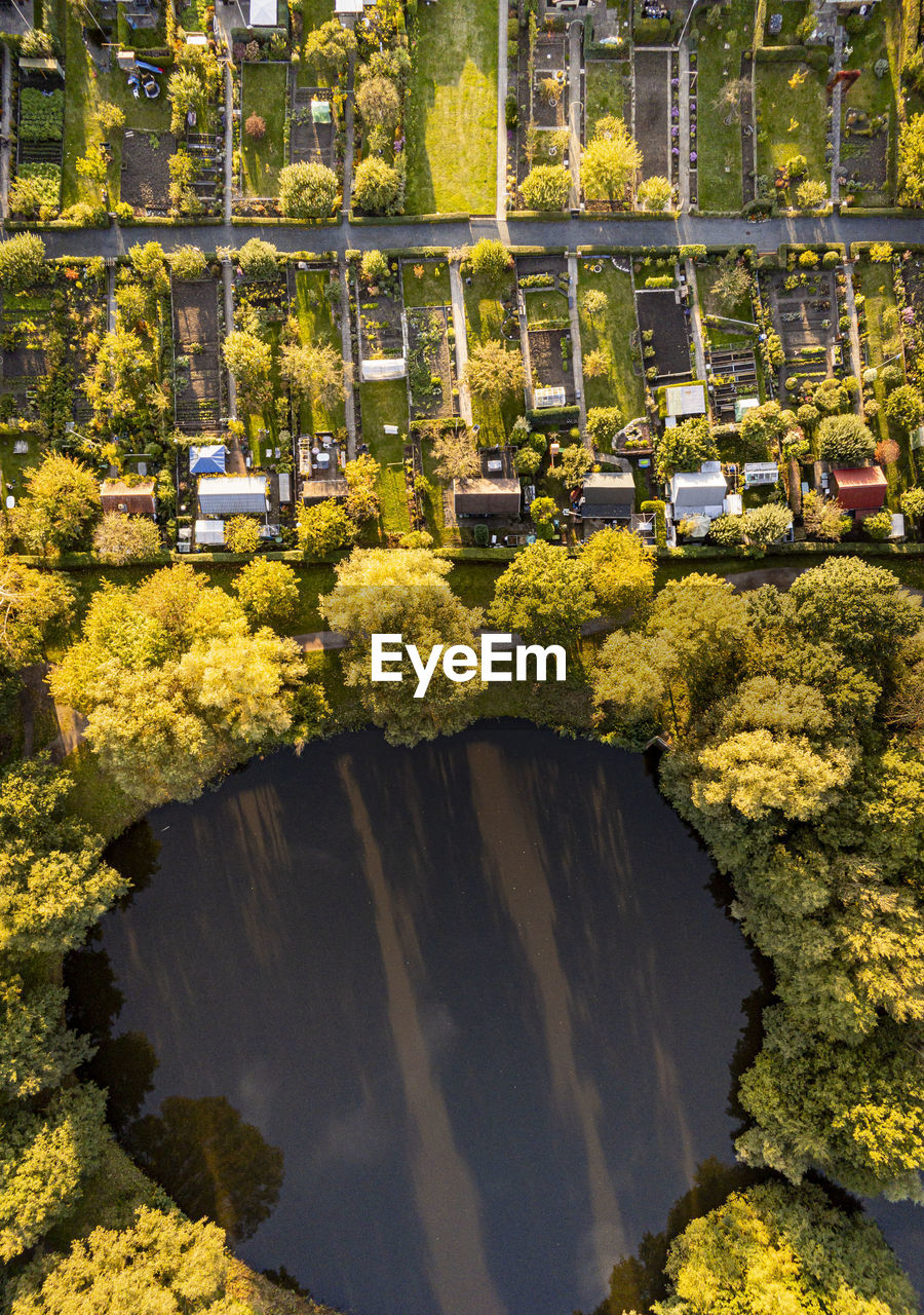 HIGH ANGLE VIEW OF YELLOW FLOWERS AND TREES BY BUILDINGS