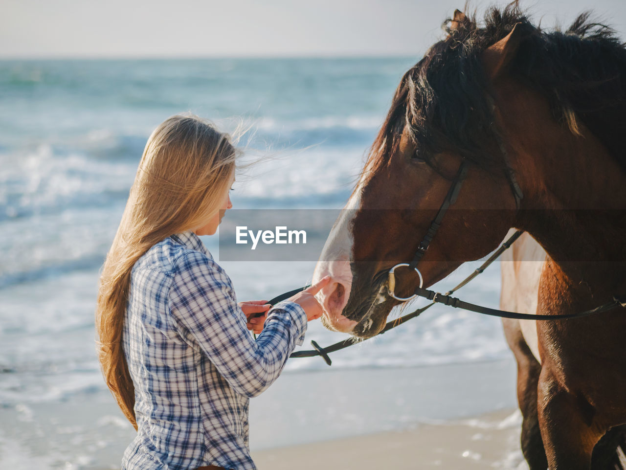 Young woman touching horse while standing against sea at beach
