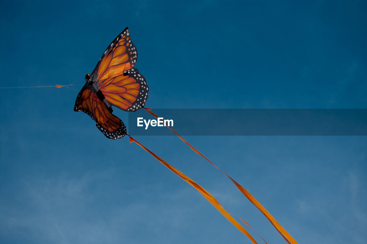 LOW ANGLE VIEW OF BUTTERFLY FLYING IN SKY