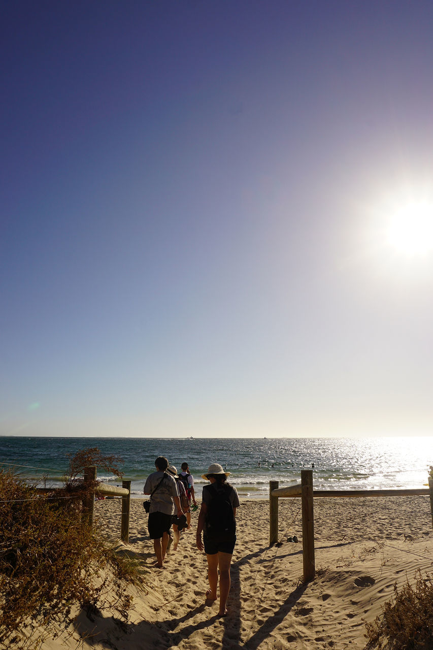 SCENIC VIEW OF BEACH AGAINST CLEAR SKY