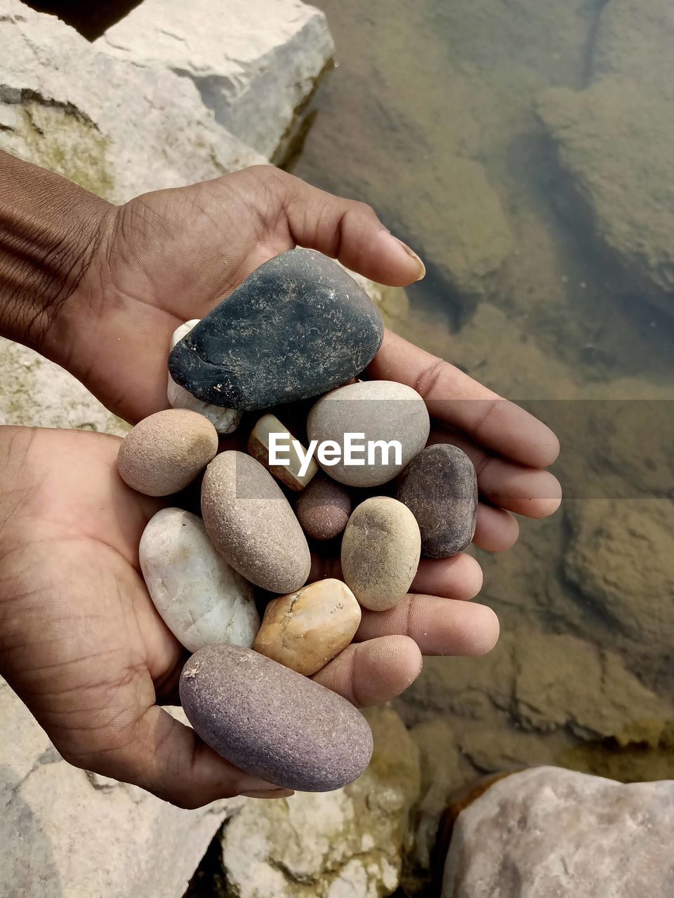 round shape stones in man hand Stone Material Stone Material Human Hand Holding Handful Rock - Object Water High Angle View Close-up Stone - Object Pebble Stack Rock Coast Hands Cupped