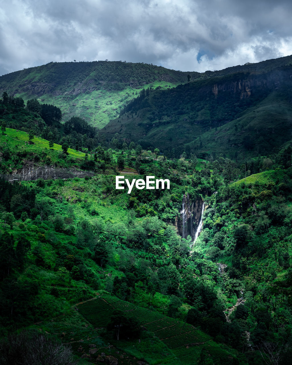 Giant tropical waterfall in the mountains, sri lanka. district of kandy