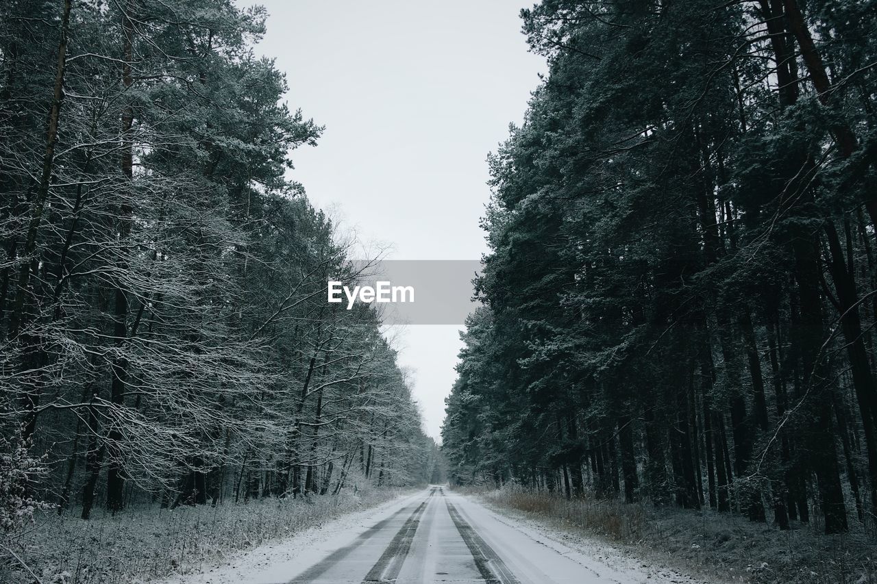 Road amidst trees against clear sky