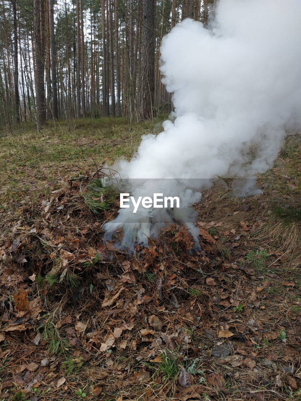 smoke, environment, nature, soil, no people, land, water, landscape, plant, day, leaf, high angle view, accidents and disasters, outdoors, social issues, beauty in nature, pollution, environmental issues, forest, heat, non-urban scene, geology