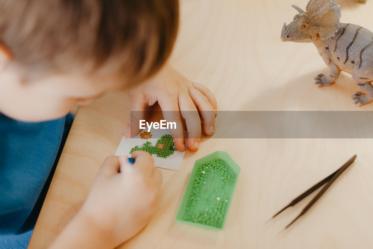 childhood, child, one person, indoors, men, creativity, extinct, toy, dinosaur, high angle view, table, animal representation, learning, holding, animal, art, toddler, hand, headshot, craft, representation, education, home interior, animal themes