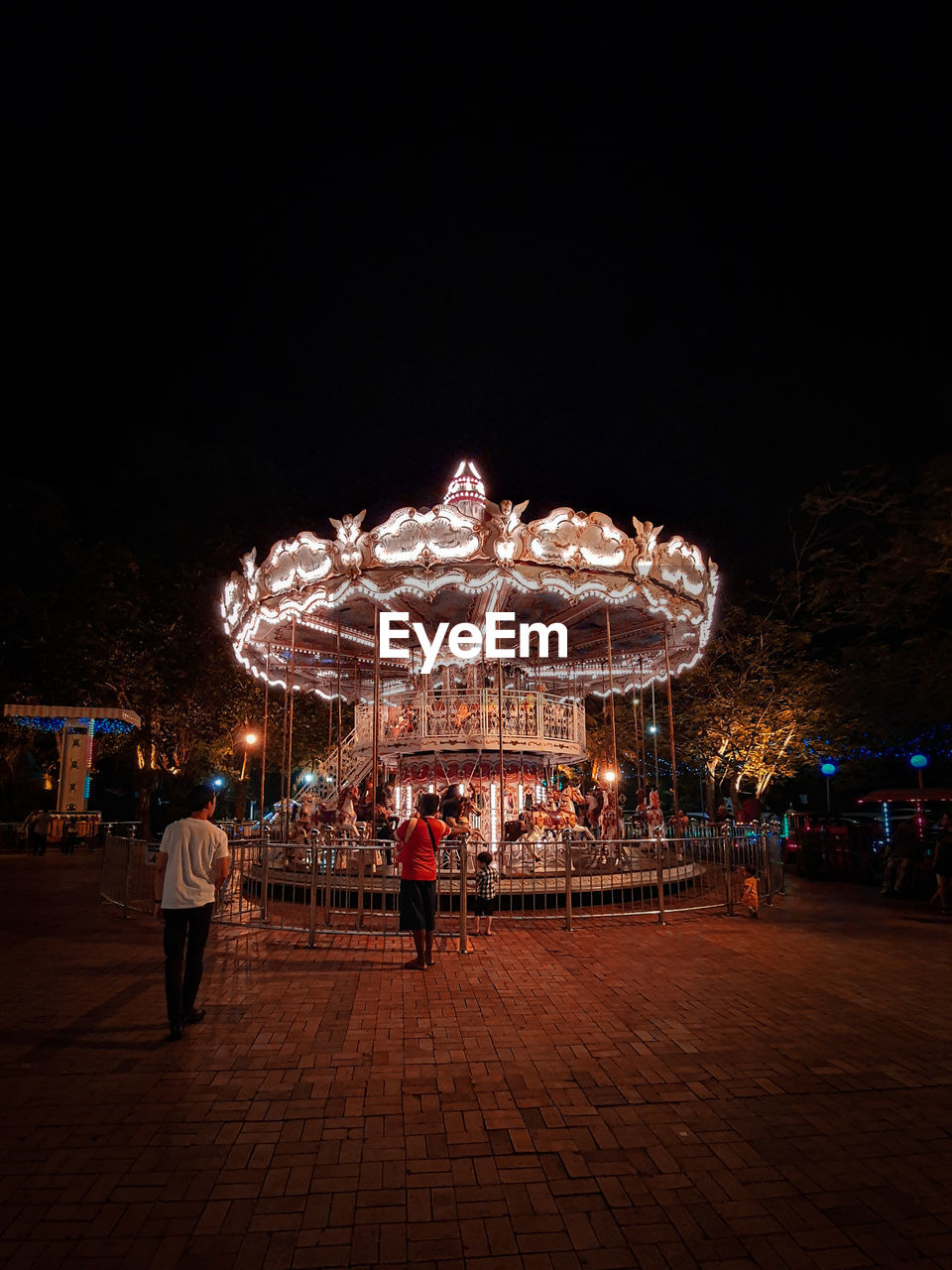 ILLUMINATED FERRIS WHEEL AT NIGHT