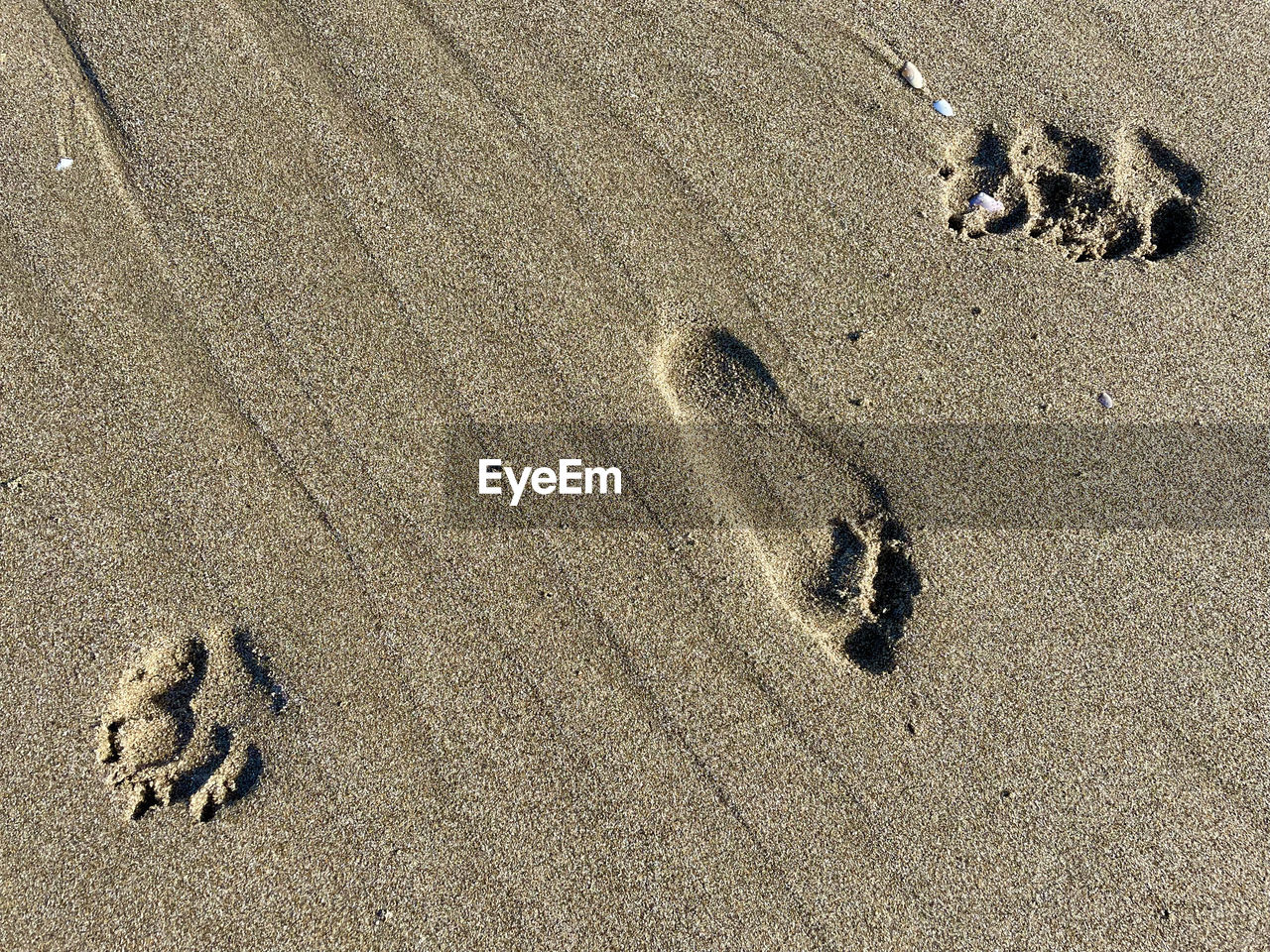 HIGH ANGLE VIEW OF FOOTPRINTS ON BEACH