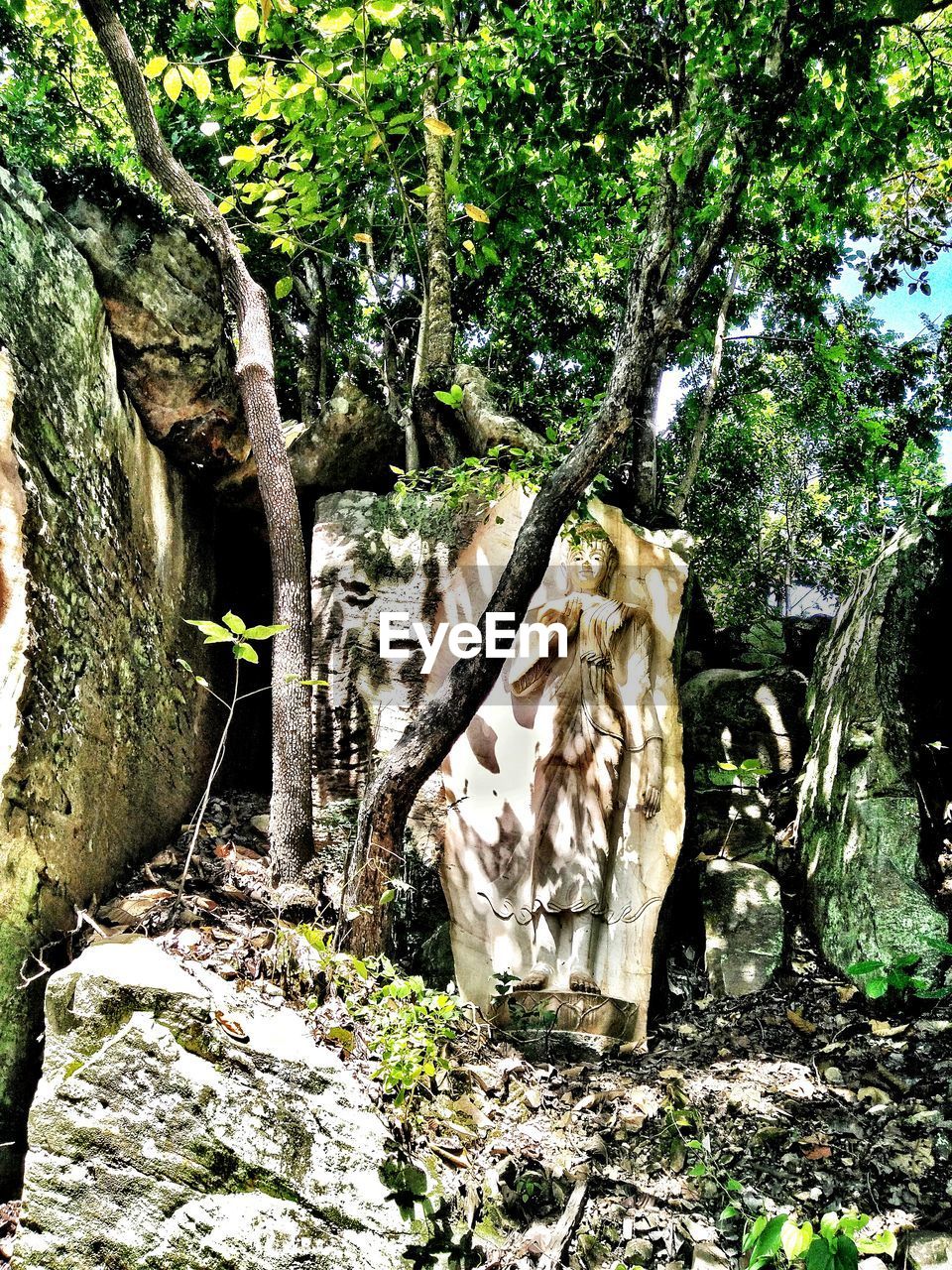 STATUE IN FOREST