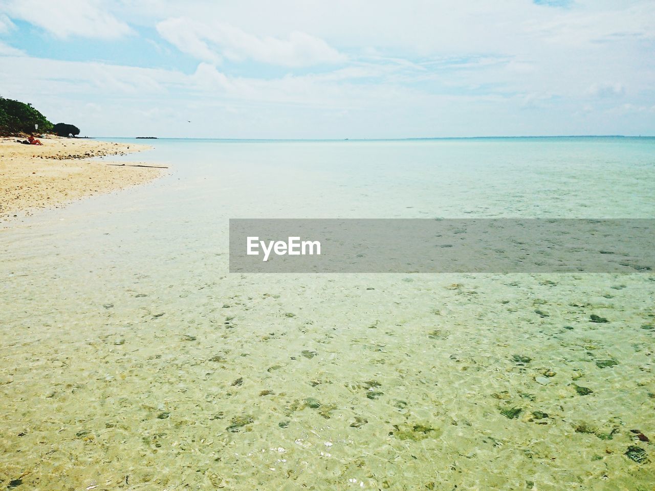 SCENIC VIEW OF BEACH