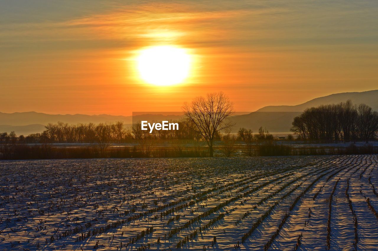 SCENIC VIEW OF LANDSCAPE DURING SUNSET