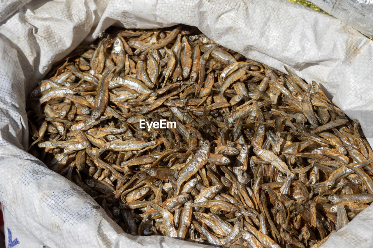 High angle view of fish in market