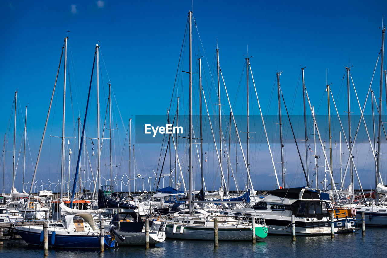 Sailboats moored in harbor