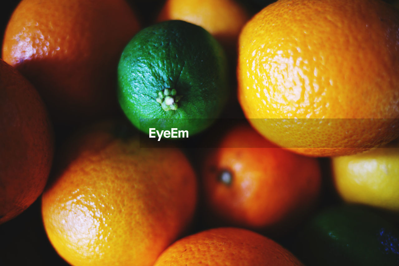 Full frame shot of oranges, lime fruit and lemons 