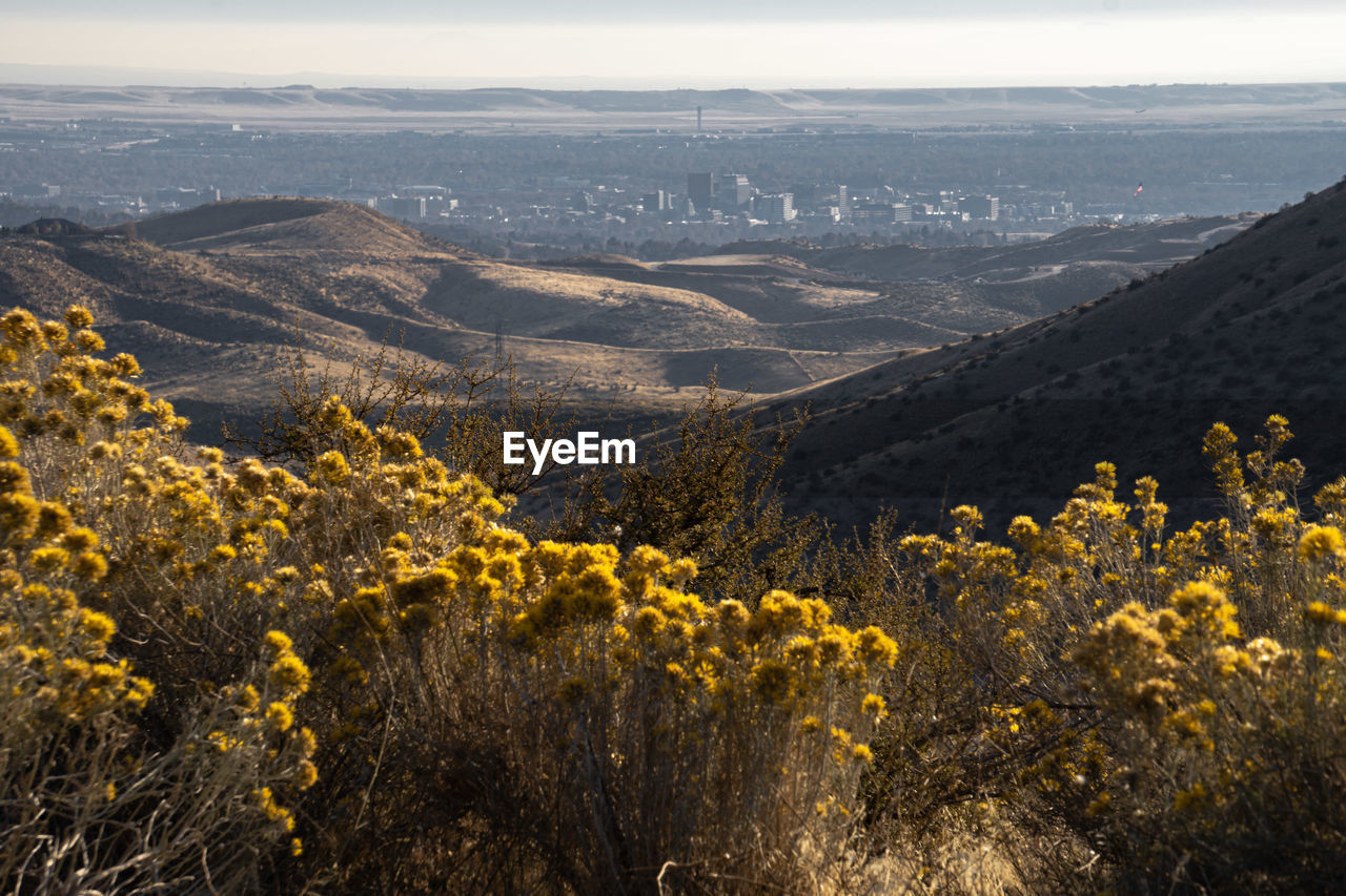 Boise foothills 