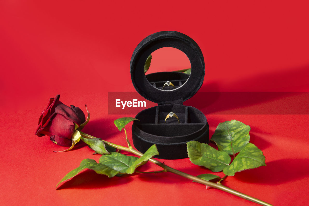 red, colored background, plant part, leaf, studio shot, no people, plant, food and drink, indoors, food, nature, flower, red background