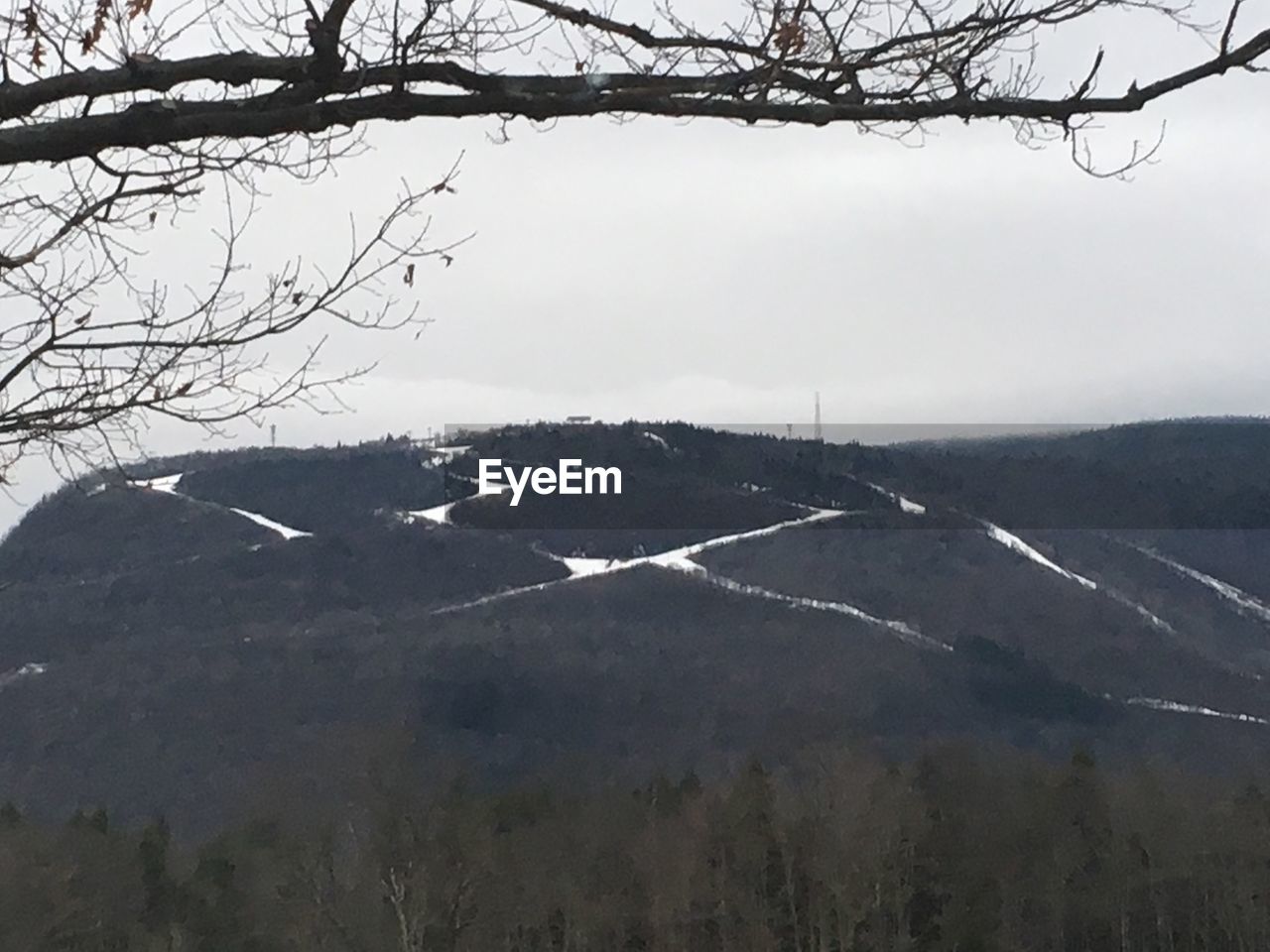 SCENIC VIEW OF SNOW COVERED LANDSCAPE