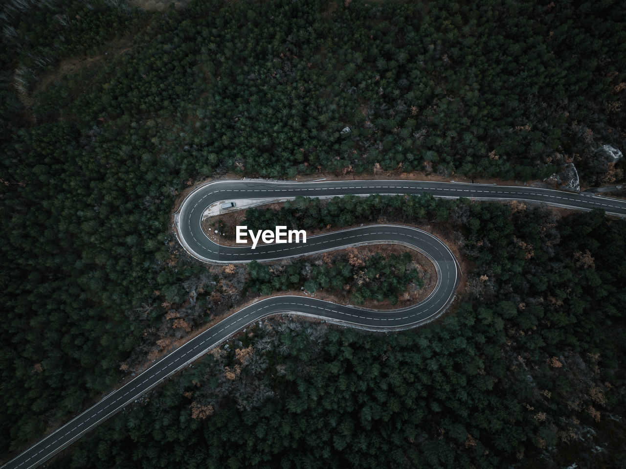 High angle view of road amidst trees