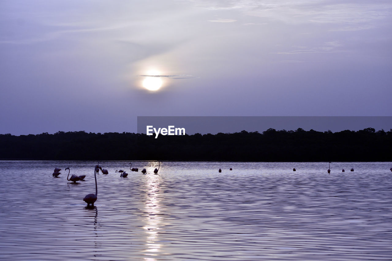 DUCKS SWIMMING IN LAKE AGAINST SKY