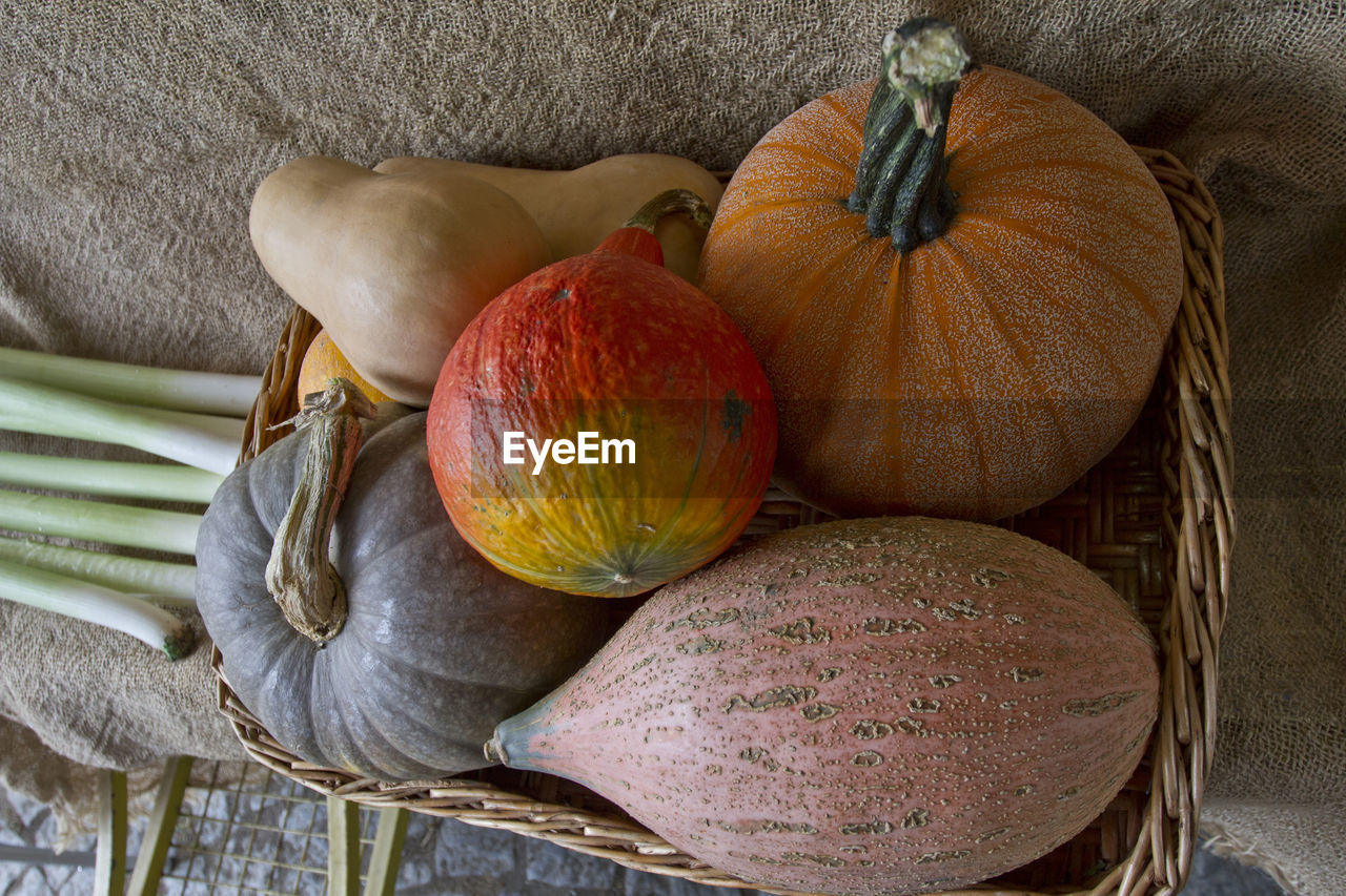 CLOSE-UP OF FRUITS ON TABLE