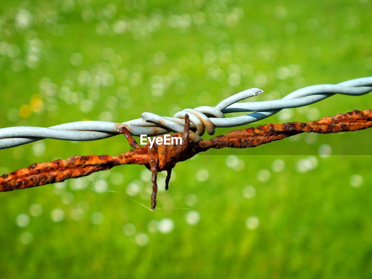 Close-up of rusty barbed wire with new against field