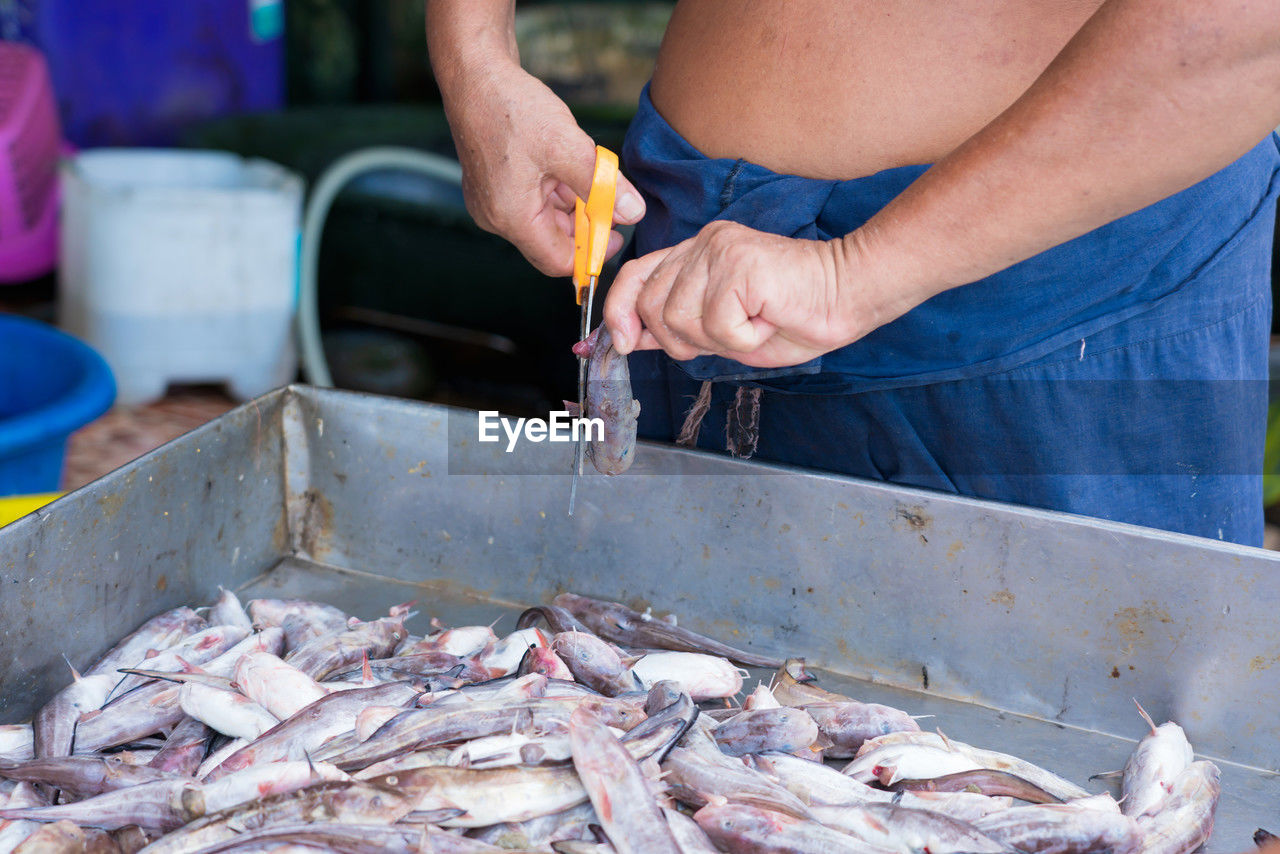 midsection of man preparing fish for sale at market