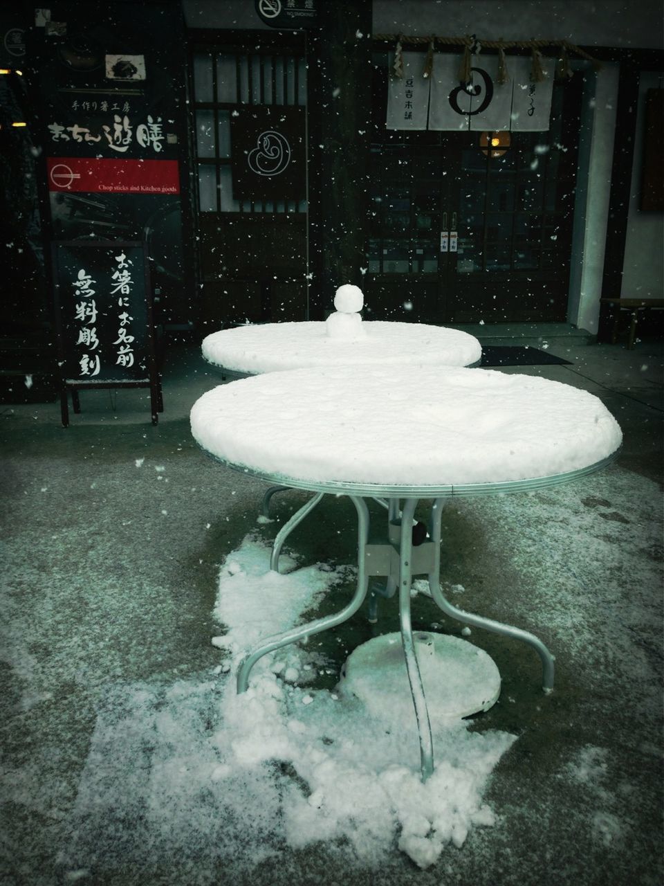 VIEW OF SNOW COVERED TREE