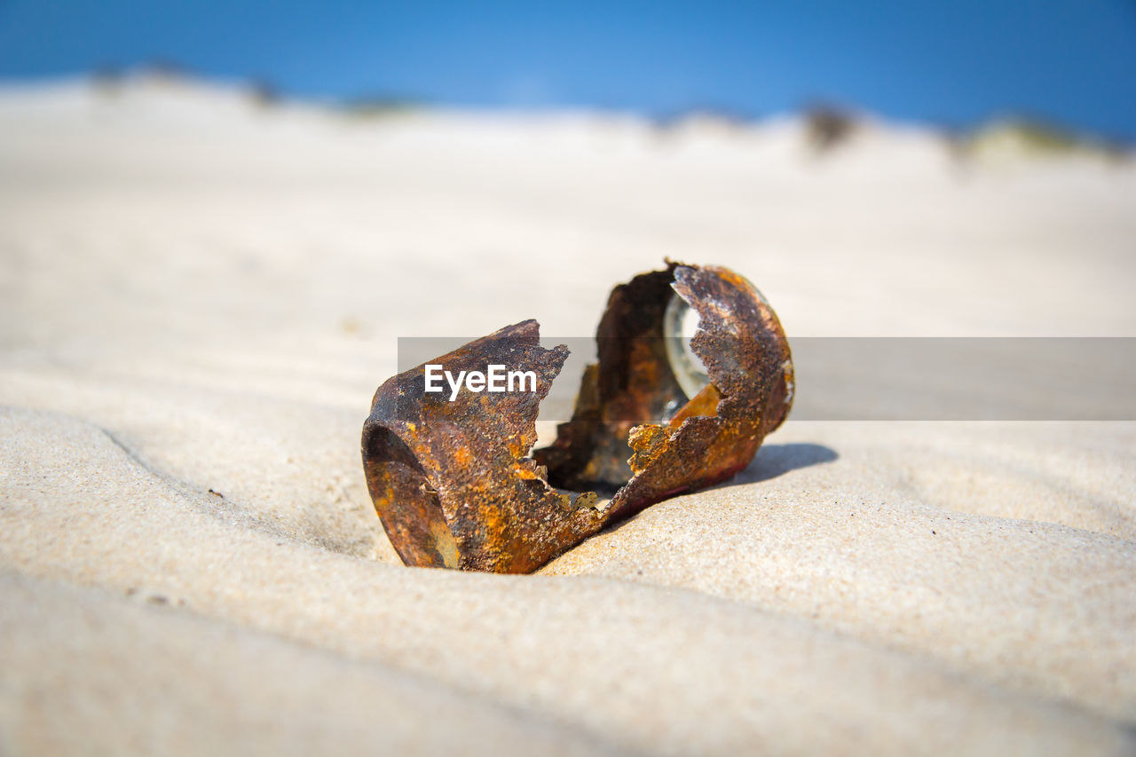 CLOSE-UP OF SHELL ON SAND