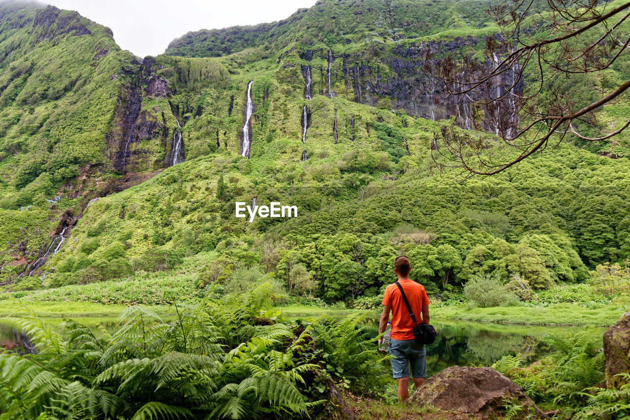 Rear view of man looking at mountains