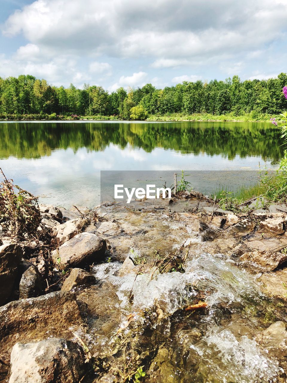 SCENIC VIEW OF LAKE AND TREES AGAINST SKY