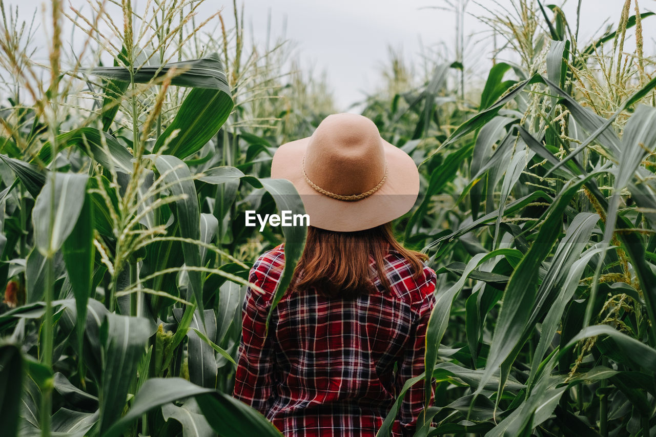 Rear view of woman wearing hat while standing amidst plants in field