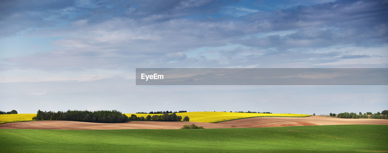 Scenic view of agricultural field against sky