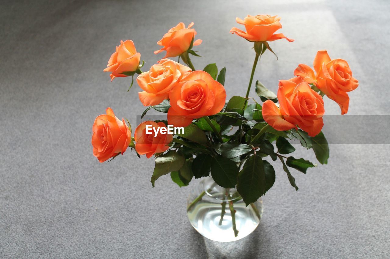 High angle view of orange rose flowers in vase