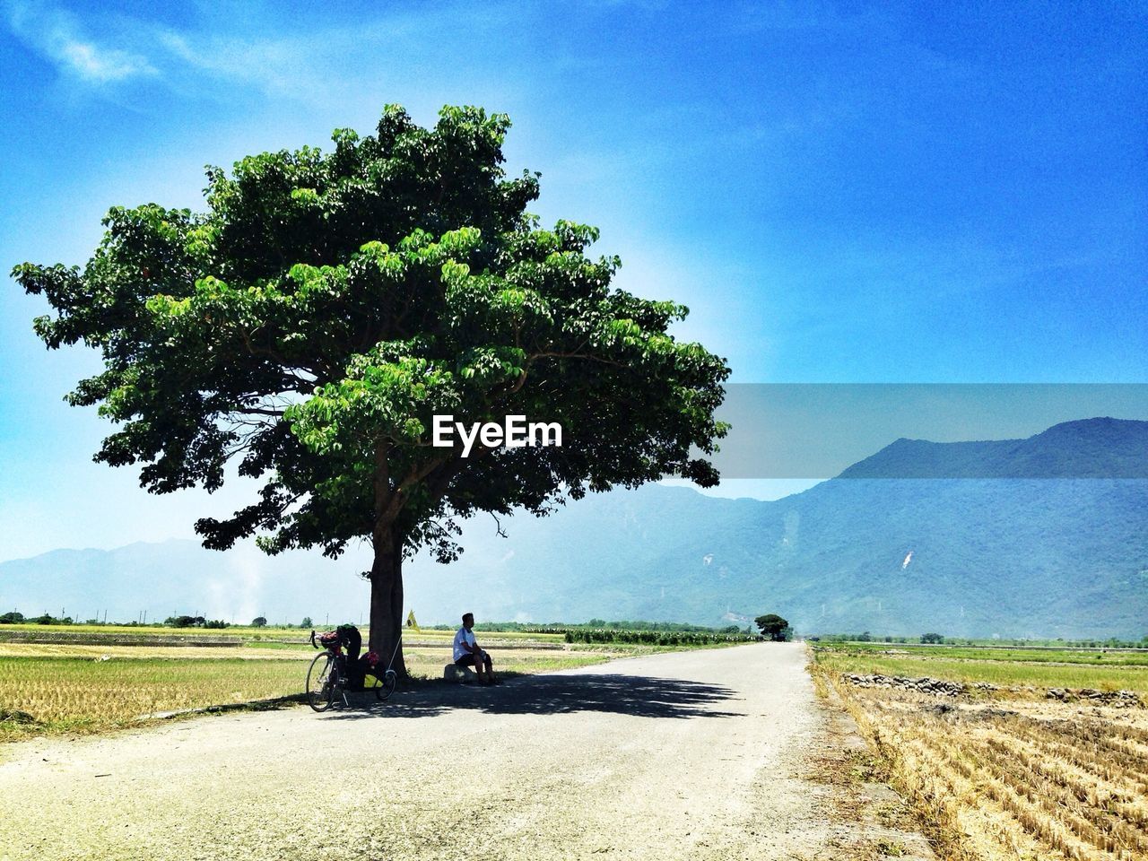 Man sitting under tree on road against mountains