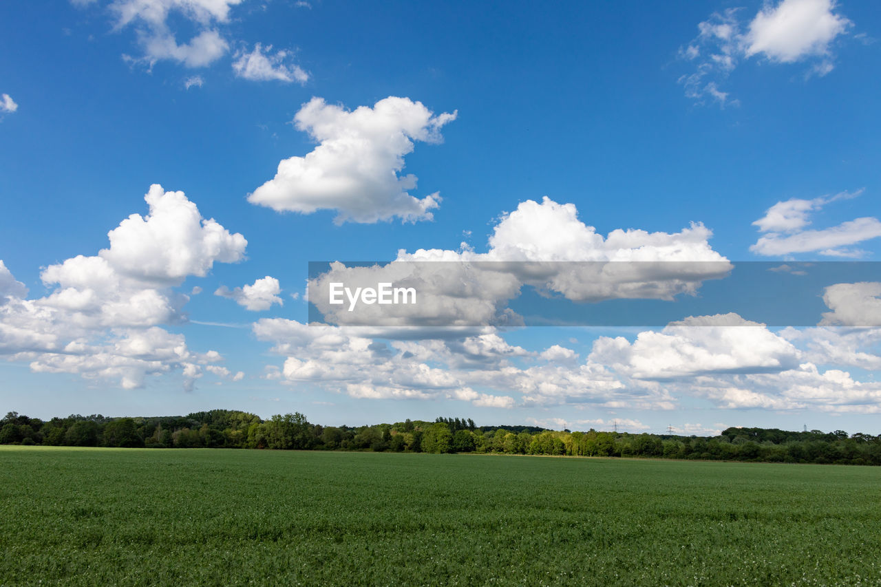 SCENIC VIEW OF LAND AGAINST SKY