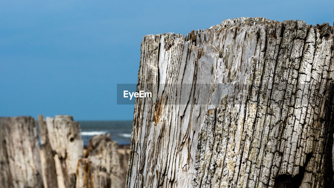 CLOSE-UP OF WOODEN POST ON BEACH