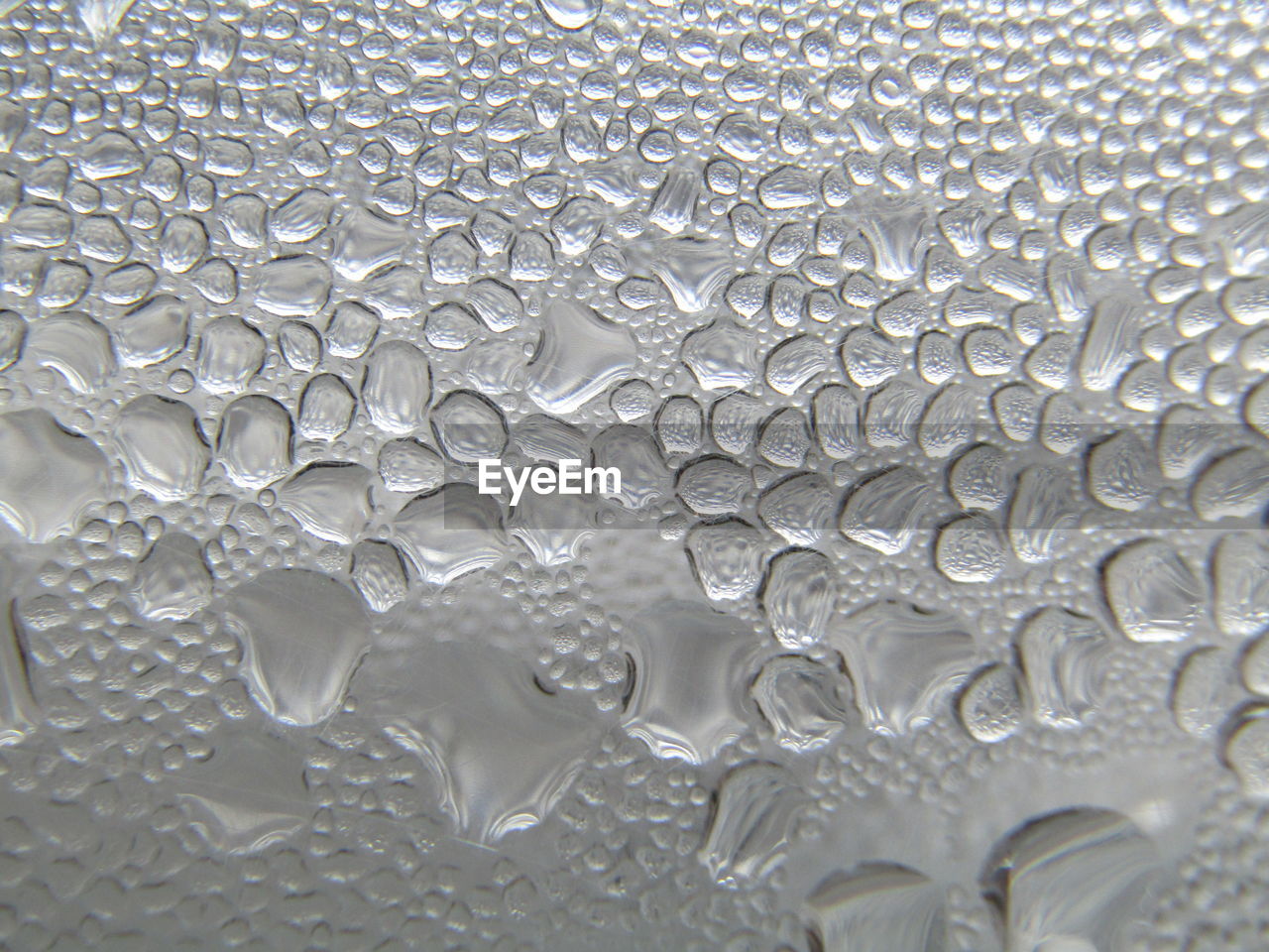 Water droplets formed by condensation.