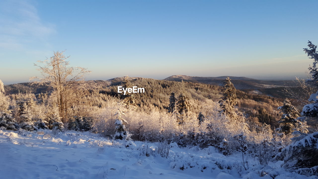 Scenic view of snow field against clear blue sky