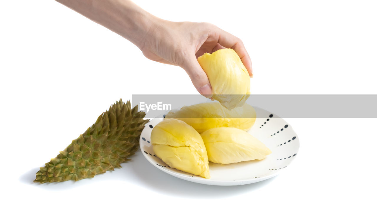 CLOSE-UP OF HAND HOLDING FRUIT