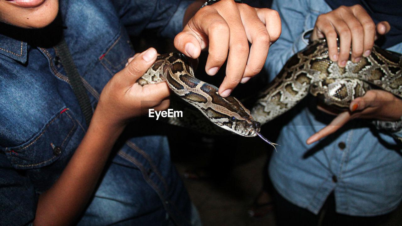 Midsection of women holding snake