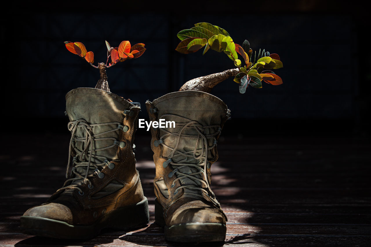 Plant the plants in the boots